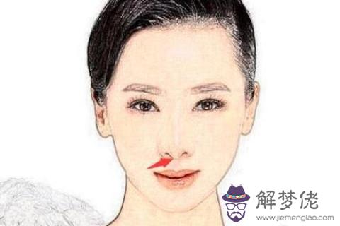 女人狗鼻子面相運勢如何？