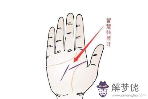 智慧線中間分叉代表了什麼？