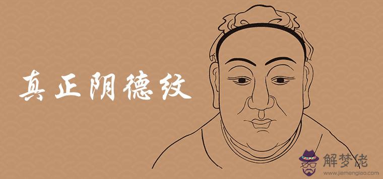 真正陰德紋面相圖片詳細介紹