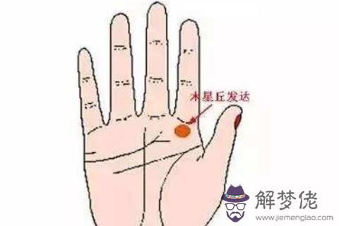 木星丘手相特征分析