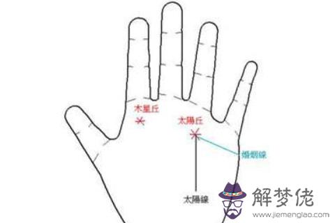 手掌部位手相分析（一）