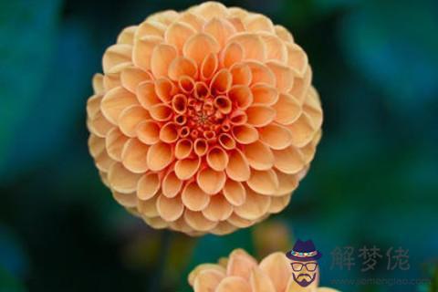 陰陽眼的男人運勢分析