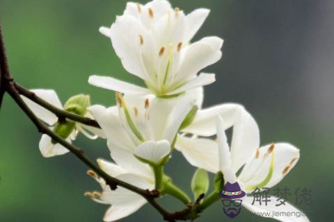 女人眼睛小的面相性格如何