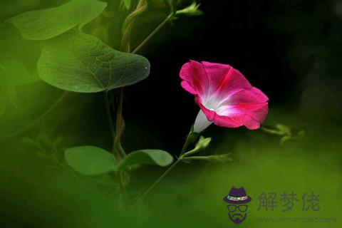 眼睛小的人面相分析