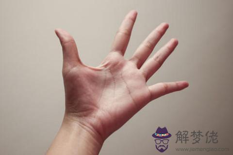 享福型女人的手相手型
