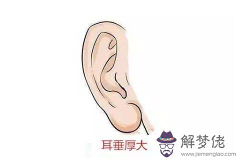 面相看人的一生命運