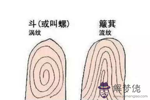 手上指紋判斷人生運勢（一）