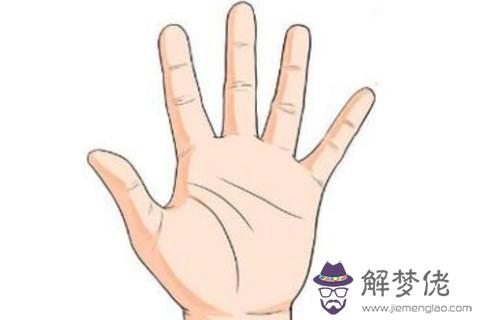 手掌三條線手相解析