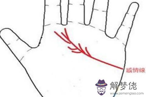 手相分析：感情線分叉代表什麼意思