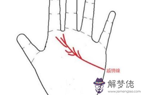 有著感情線分叉手相的人感情運勢好不好？