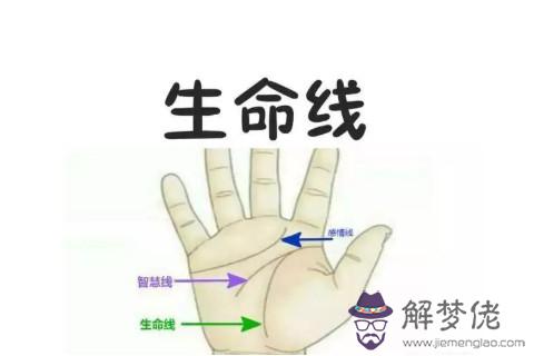 教你如何通過手相看你的命運好壞