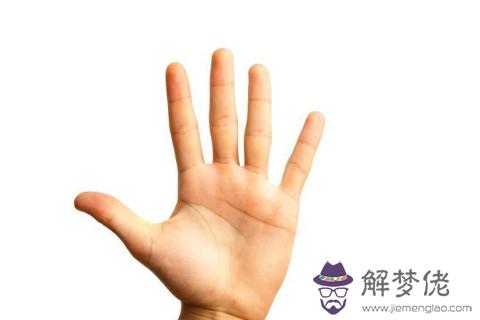  教你如何看手相  手的軟硬程度的解析