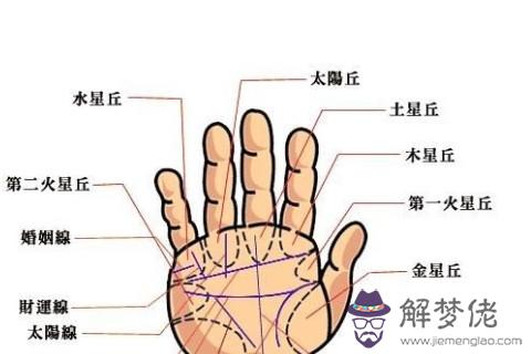女人手相圖解大全，這里來教你怎麼看手相