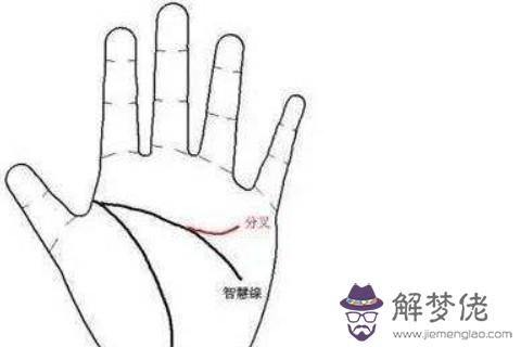  手相圖解：智慧線中間分叉是什麼意思？