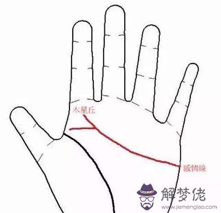 感情線末端分叉