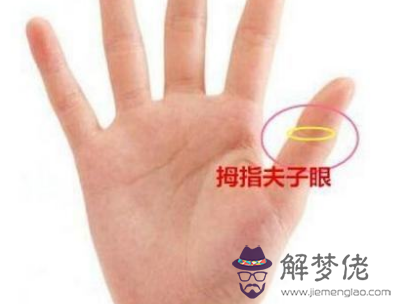 拇指鳳眼紋的人生貴子