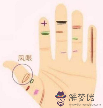 鳳眼紋手相圖