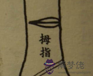手上有鳳眼紋的男人