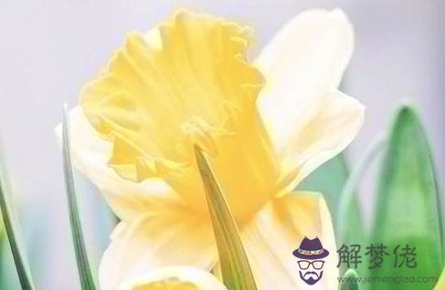 哪里長痣會影響運勢？兇痣長什麼樣？(圖文)
