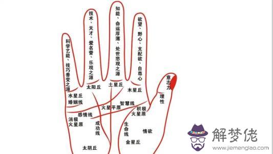 智慧線長的小孩都很聰明嗎？智慧線怎麼看命運？(圖文)