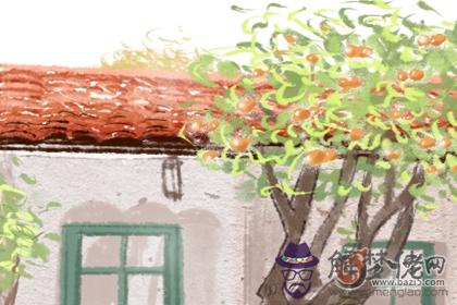 面黃災禍到。臉色黃，病殼囊是有什麼說法(圖文)