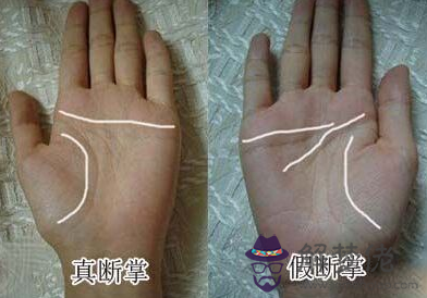 假斷掌手相圖解