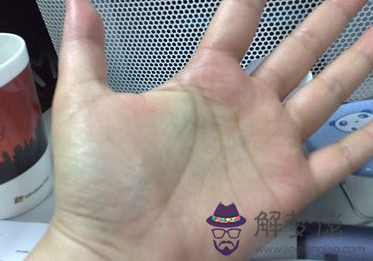 川字掌的女人財運