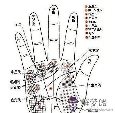 手相圖解大全男左手