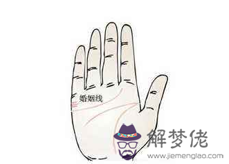 教你怎樣看手相