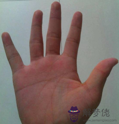 富貴手相