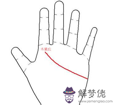 感情線長