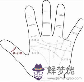 真正的鳳眼紋