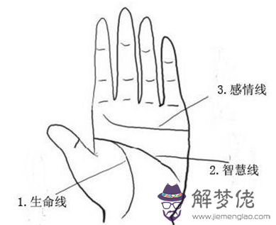 手紋