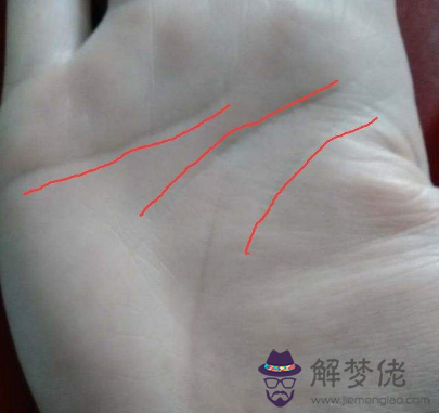 雙手是川字掌女人概率