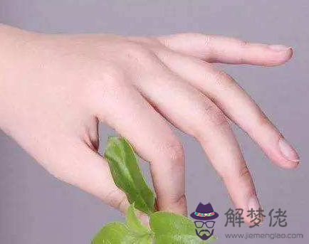 手掌紋路圖解