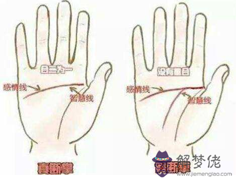 假斷掌手相圖解