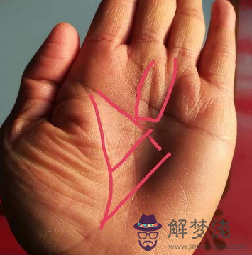 最富貴的12種手相特征