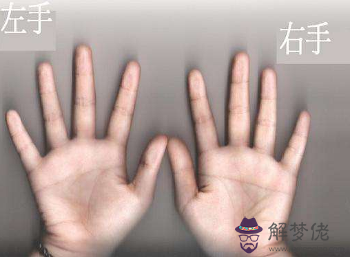 斷掌手相圖圖解
