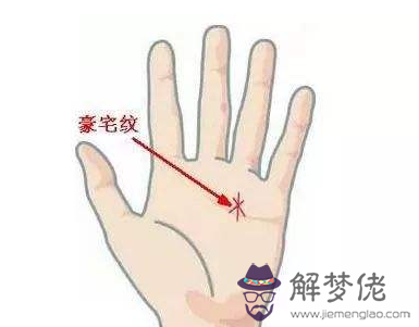 有大財的手紋