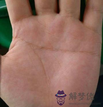 假斷掌手相圖解