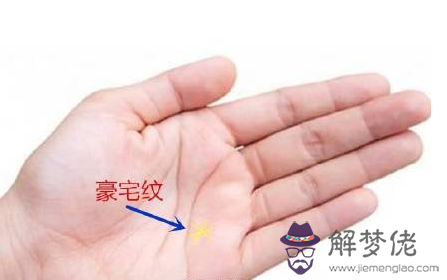 怎麼看手相算命