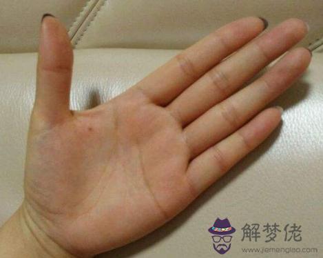 手相學視頻