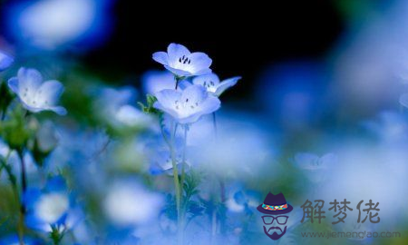 為什麼川字掌的人很少