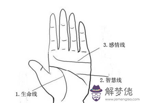 手相智慧線