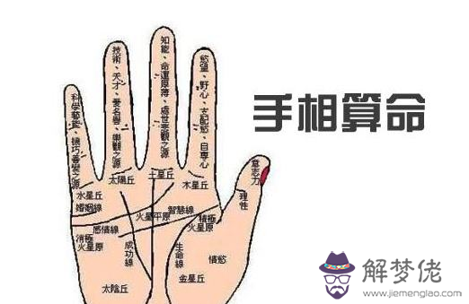 看手相圖解