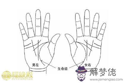 手相淺解：短命手相有何特征？(圖文)
