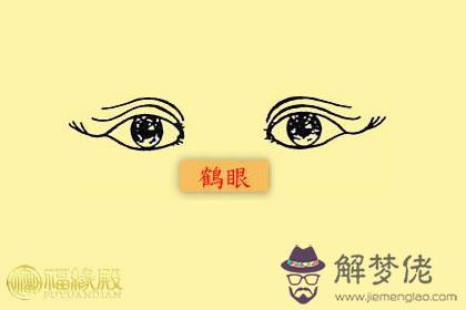 什麼是鶴眼？有何寓意？(圖文)