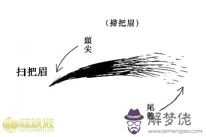 解析：掃把眉面相好嗎？(圖文)