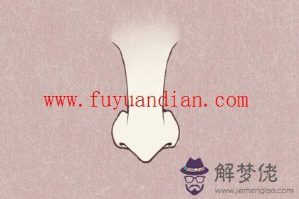 鼻大的男人面相 財運運勢好嗎？(圖文)