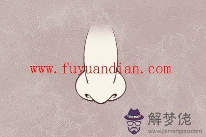 鼻大的男人面相 財運運勢好嗎？(圖文)